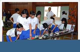 �����l�`�𒭂߂鐶�k����̎ʐ^